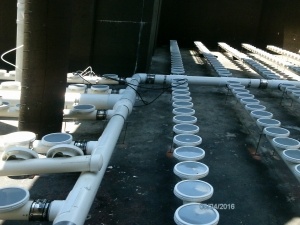 Factory Mounted PODS