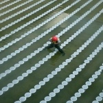 wastewater aeration system