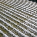 SSI Aeration Plant Operator