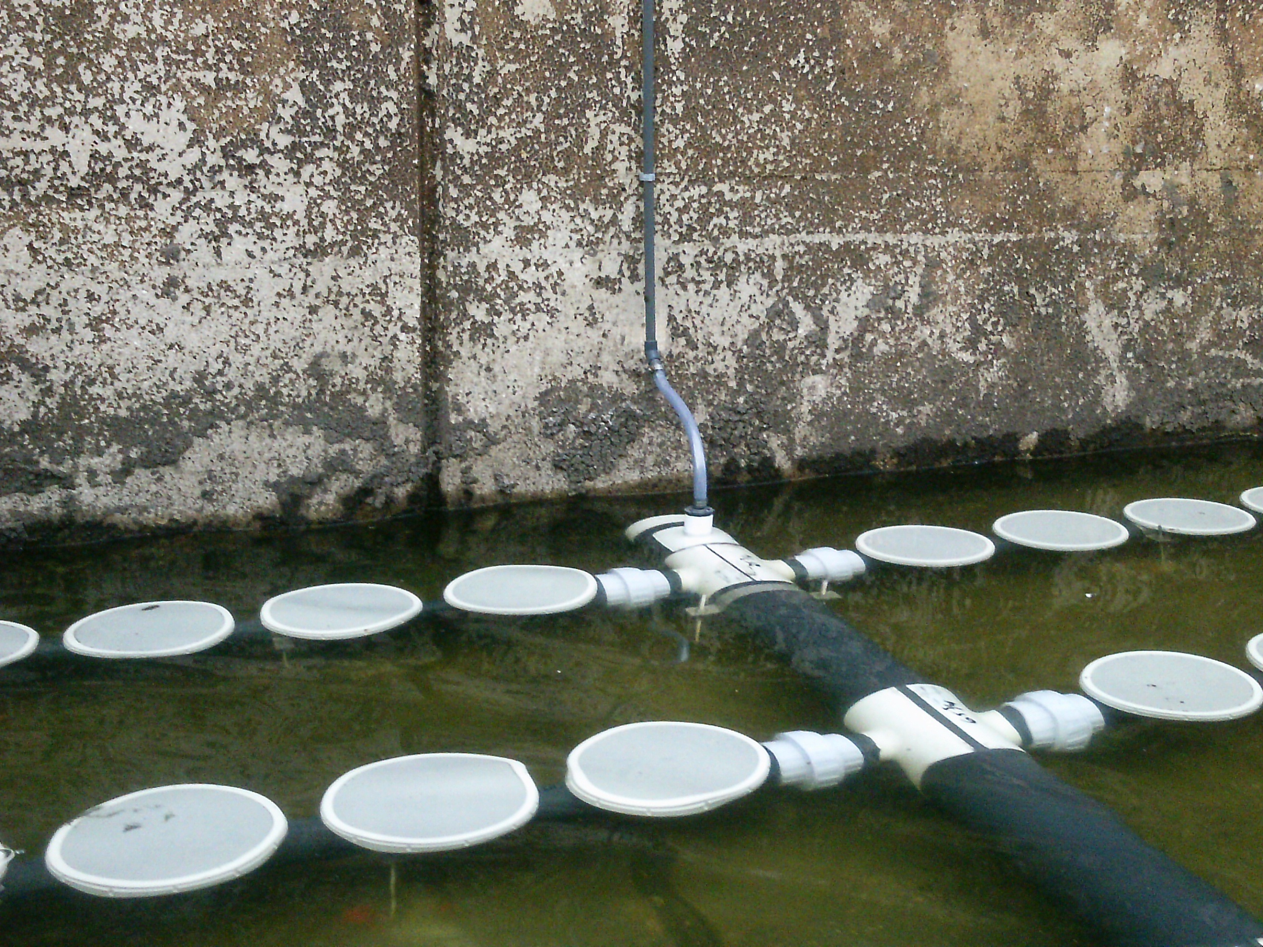 Moisture Purge Systems SSI Aeration