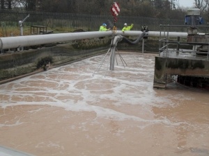 Ireland Dairy - At Work